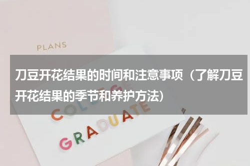 刀豆开花结果的时间和注意事项（了解刀豆开花结果的季节和养护方法）