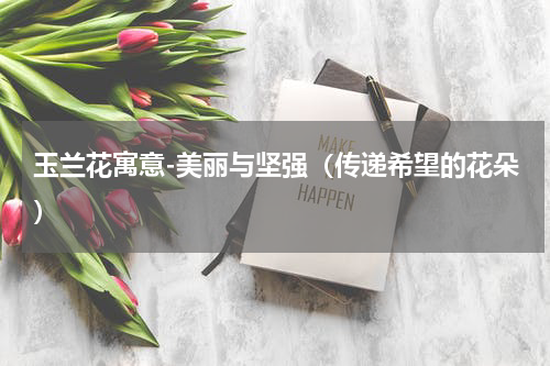 玉兰花寓意-美丽与坚强（传递希望的花朵）