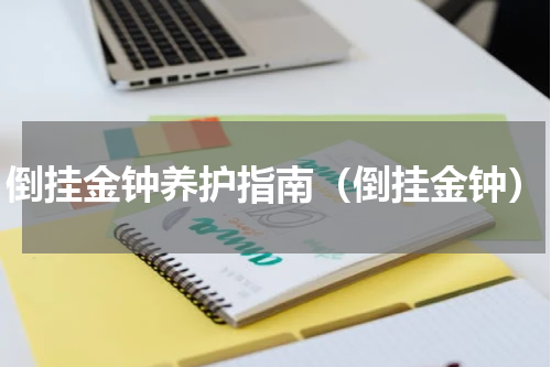 倒挂金钟养护指南（倒挂金钟）