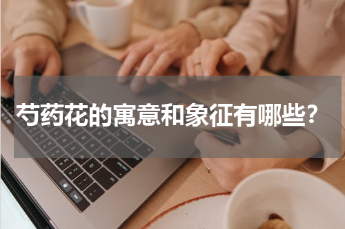 芍药花的寓意和象征有哪些？