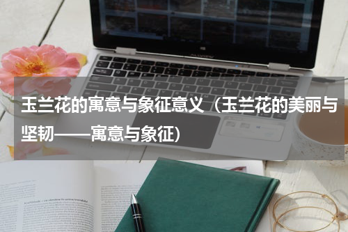 玉兰花的寓意与象征意义（玉兰花的美丽与坚韧——寓意与象征）