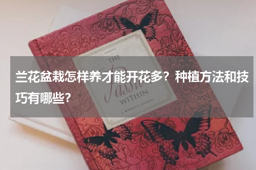 兰花盆栽怎样养才能开花多？种植方法和技巧有哪些？
