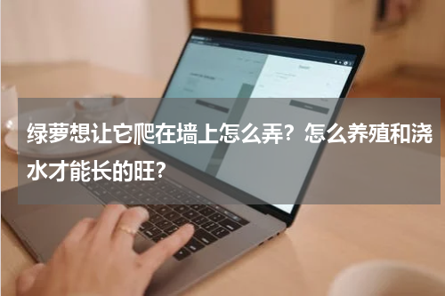绿萝想让它爬在墙上怎么弄？怎么养殖和浇水才能长的旺？