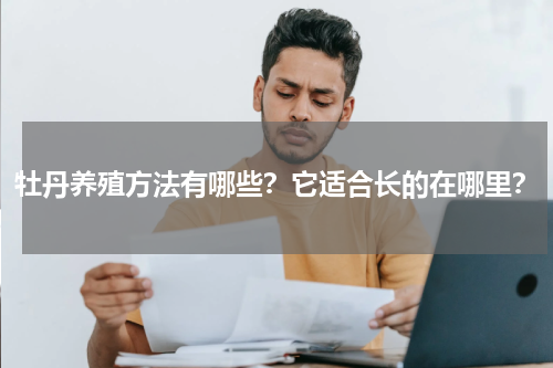 牡丹养殖方法有哪些？它适合长的在哪里？
