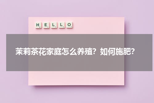 茉莉茶花家庭怎么养殖？如何施肥？