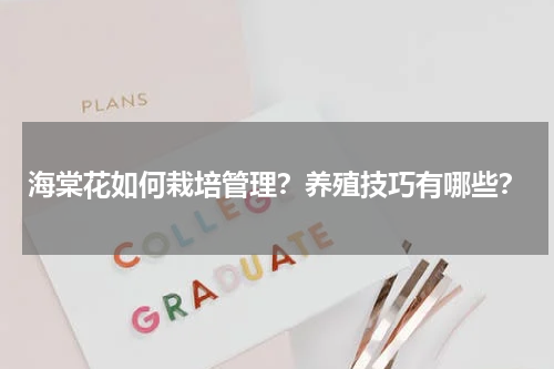 海棠花如何栽培管理？养殖技巧有哪些？