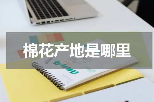 棉花产地是哪里
