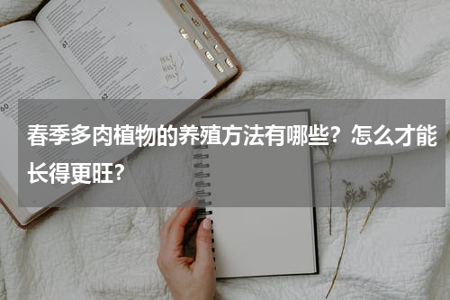 春季多肉植物的养殖方法有哪些？怎么才能长得更旺？