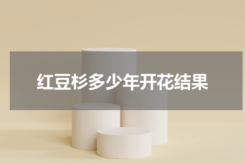 红豆杉多少年开花结果