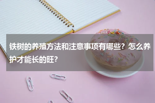 铁树的养殖方法和注意事项有哪些？怎么养护才能长的旺？