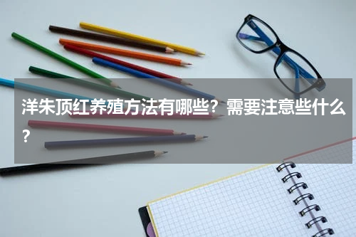 洋朱顶红养殖方法有哪些？需要注意些什么？