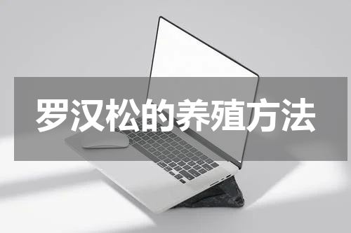 罗汉松的养殖方法
