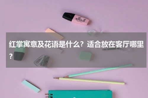 红掌寓意及花语是什么？适合放在客厅哪里？