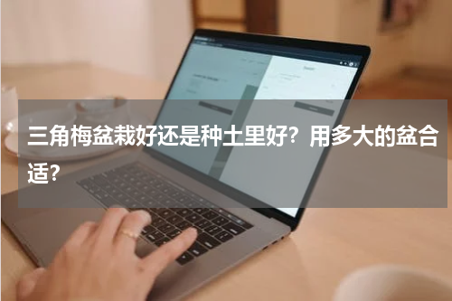 三角梅盆栽好还是种土里好？用多大的盆合适？