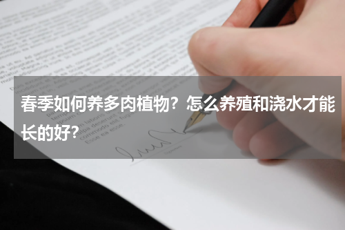 春季如何养多肉植物？怎么养殖和浇水才能长的好？