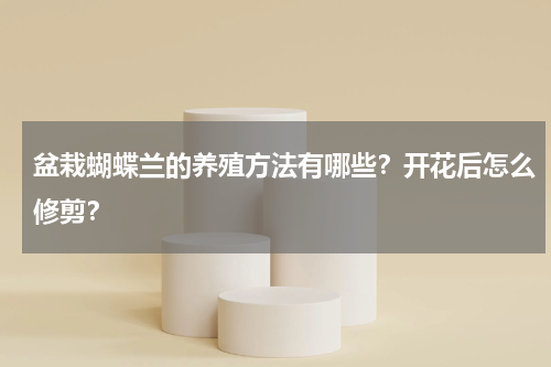 盆栽蝴蝶兰的养殖方法有哪些？开花后怎么修剪？