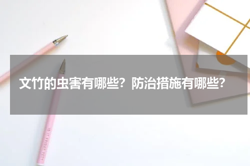 文竹的虫害有哪些？防治措施有哪些？