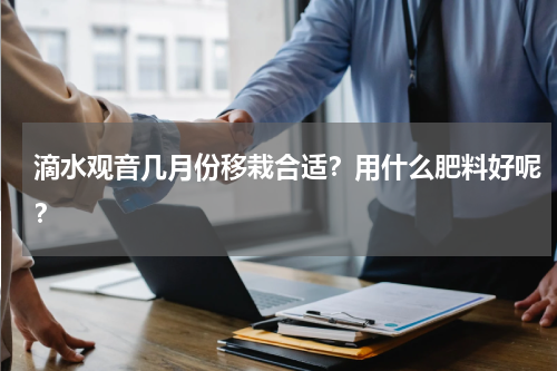 滴水观音几月份移栽合适？用什么肥料好呢？
