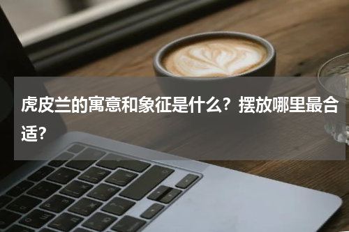 虎皮兰的寓意和象征是什么？摆放哪里最合适？
