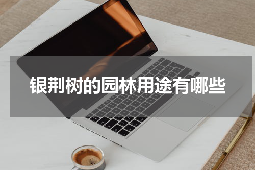 银荆树的园林用途有哪些