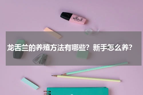 龙舌兰的养殖方法有哪些？新手怎么养？