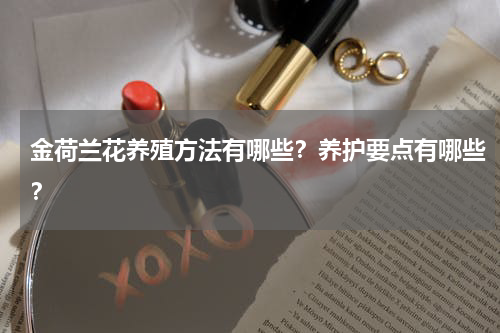 金荷兰花养殖方法有哪些？养护要点有哪些？