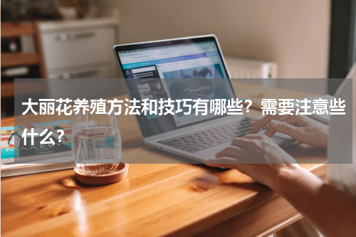 大丽花养殖方法和技巧有哪些？需要注意些什么？