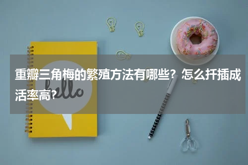 重瓣三角梅的繁殖方法有哪些？怎么扦插成活率高？