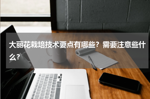 大丽花栽培技术要点有哪些？需要注意些什么？
