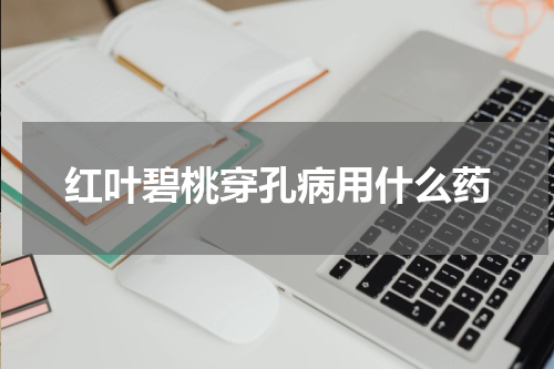 红叶碧桃穿孔病用什么药