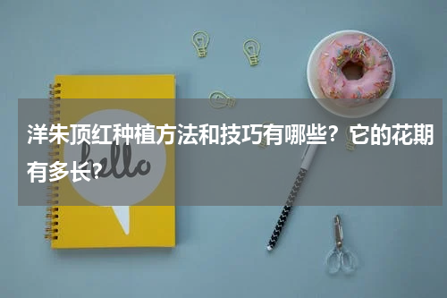 洋朱顶红种植方法和技巧有哪些？它的花期有多长？