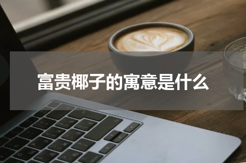 富贵椰子的寓意是什么