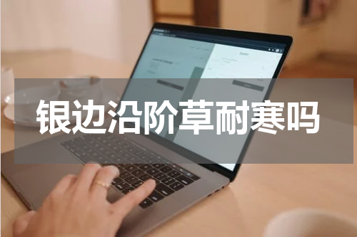 银边沿阶草耐寒吗