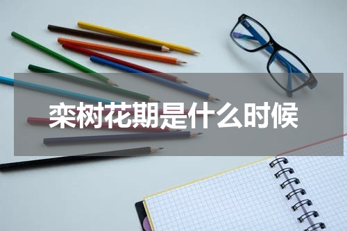 栾树花期是什么时候