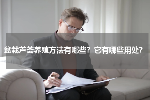盆栽芦荟养殖方法有哪些？它有哪些用处？