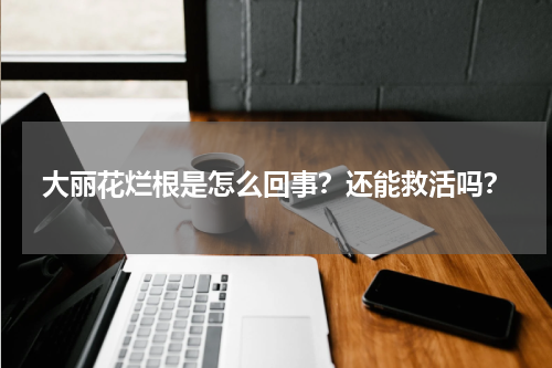 大丽花烂根是怎么回事？还能救活吗？