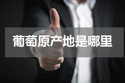 葡萄原产地是哪里