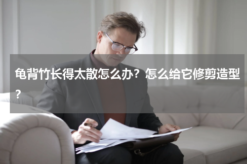 龟背竹长得太散怎么办？怎么给它修剪造型？