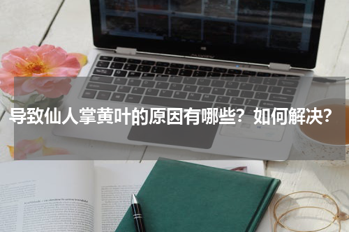 导致仙人掌黄叶的原因有哪些？如何解决？