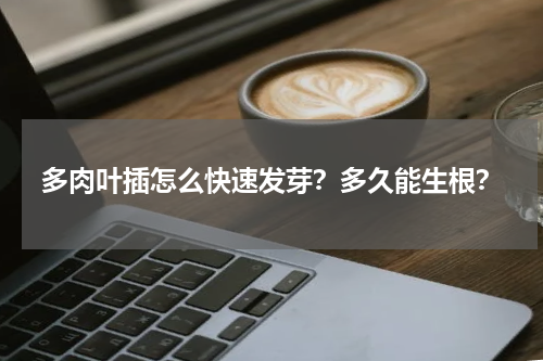 多肉叶插怎么快速发芽？多久能生根？