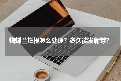 蝴蝶兰烂根怎么处理？多久能发新芽？