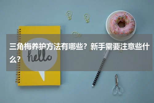 三角梅养护方法有哪些？新手需要注意些什么？
