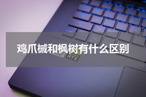鸡爪槭和枫树有什么区别