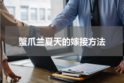 蟹爪兰夏天的嫁接方法