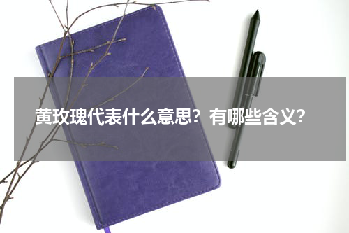 黄玫瑰代表什么意思？有哪些含义？