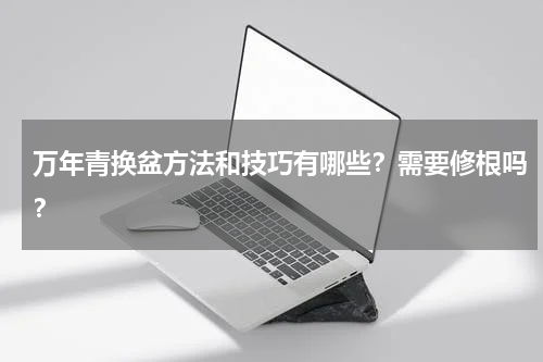 万年青换盆方法和技巧有哪些？需要修根吗？
