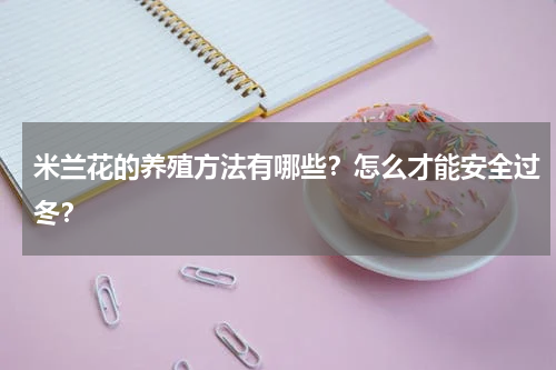 米兰花的养殖方法有哪些？怎么才能安全过冬？