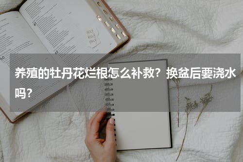 养殖的牡丹花烂根怎么补救？换盆后要浇水吗？