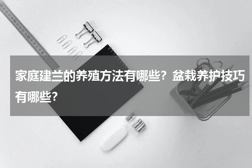 家庭建兰的养殖方法有哪些？盆栽养护技巧有哪些？
