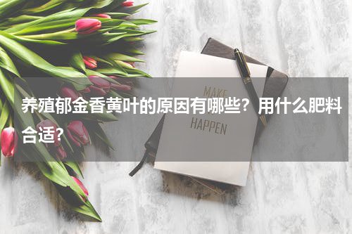 养殖郁金香黄叶的原因有哪些？用什么肥料合适？